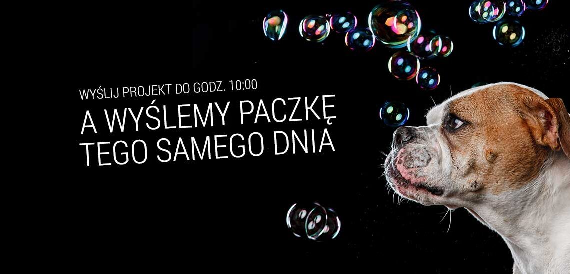 rollup poznan