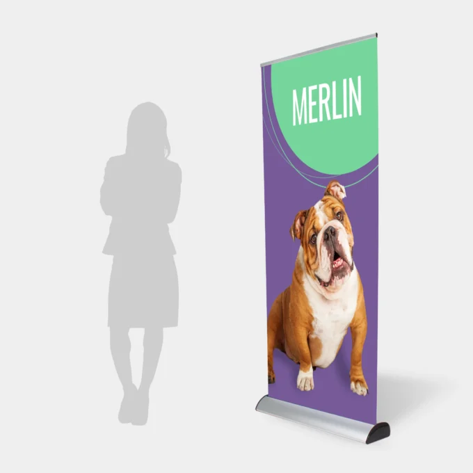 +rollup-merlin-projekt-premium-reklamowy-poznan-regulowany-maszt-wydruk-lateksowy Pionowy rollup z nadrukiem buldoga angielskiego i napisem MERLIN na fioletowym tle obok sylwetki kobiety, prezentujący profesjonalne projektowanie graficzne