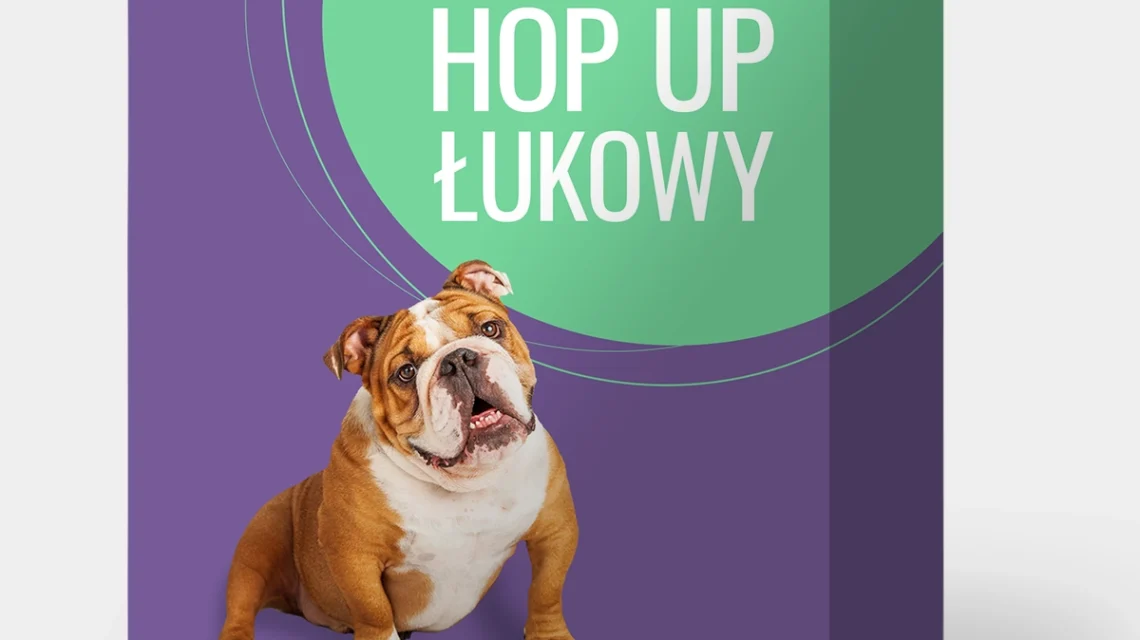 Łukowa ścianka reklamowa typu hop up z napisem oraz zdjęciem buldoga, wykonana przez nasze profesjonalne projektowanie graficzne